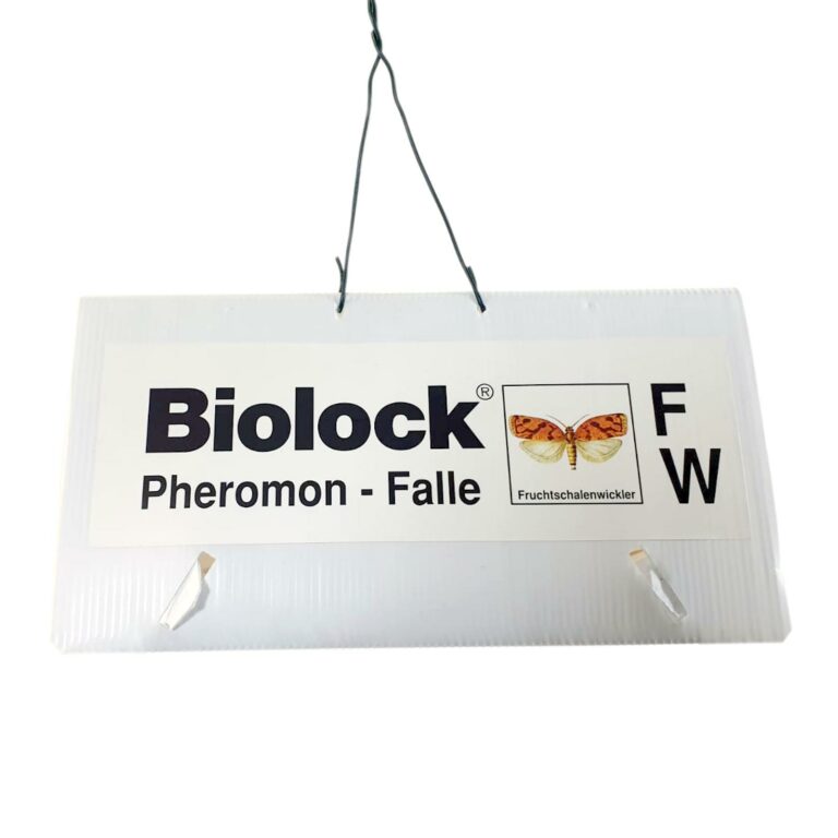 Biolock® Fruchtschalenwickler Falle1