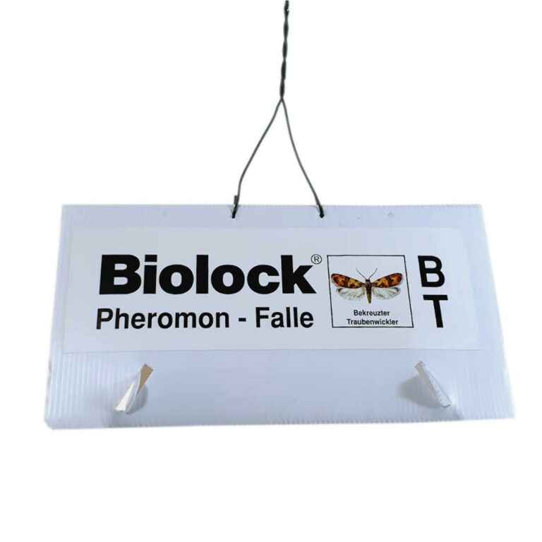 Biolock® Bekreuzter Traubenwickler Falle1