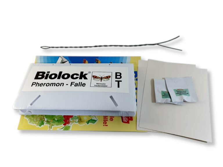 Biolock® Bekreuzter Traubenwickler Falle2