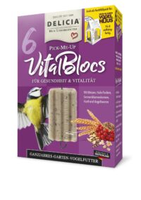 VitalBlocs