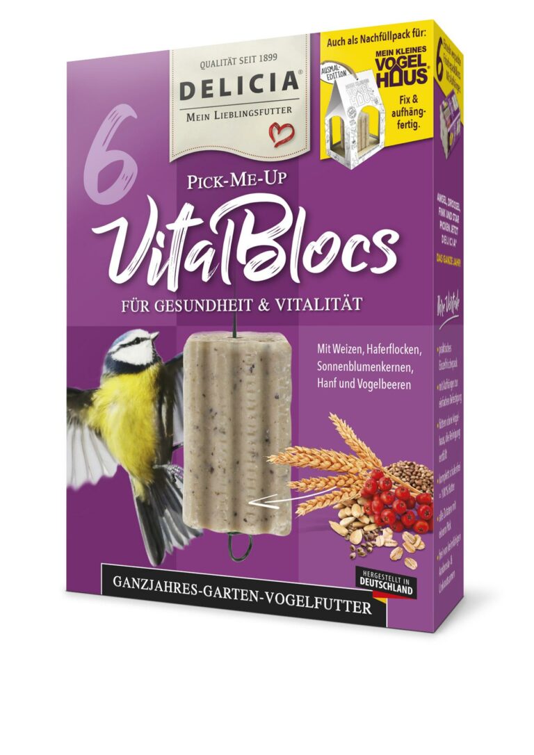 VitalBlocs
