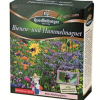 Blütenpracht und Insektennahrung